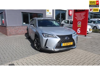 Lexus UX 250h Business Line