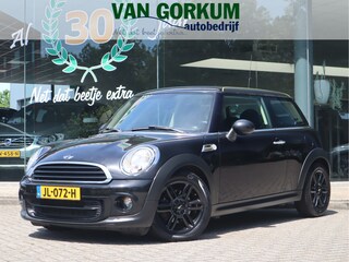 Mini Mini 1.6 Salt