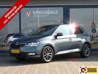 Skoda Fabia 1.0 TSI Business Edition, Carplay + Android Auto / Climate control / Cruise control / Stoelverwarming