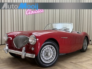 Austin-Healey 100/4 BN2 Roadster / 1956 / 4-Speed Overdrive / Tonneau / Softtop / Hobbymatig Gerestaureerd