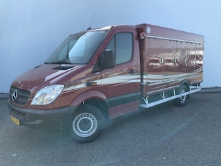 Mercedes-Benz Sprinter 313 2.2 CDI 366 Vries Auto _40gr 10 Deuren IJS Euro 5