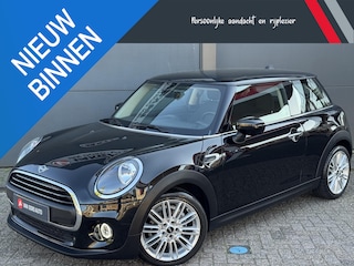 Mini Mini 1.5 First Salt / Geen Import / 1e Eigenaar