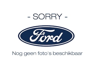 Ford Fiesta 1.0 EcoBoost Titanium Navi Climat Cruise DAB+ Parkeersensoren Lichtmetalen velgen 5drs