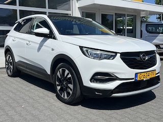 Opel Grandland X 1.2 Turbo Business Executive Panoramadak Achteruitrijcamera 18" lichtmetalen velgen