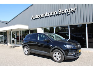 Opel Grandland X 1.2 Turbo Online Edition navi/17"LM /Clima/Cruise/PDC
