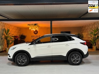 Opel Grandland X 1.2 Turbo GS Line Garantie CarPlay Camera PDC Lane LED Cruise Clima Navi Rijklaar