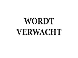 Ford Transit 350 2.0 TDCI L3H3 Trend 170pk