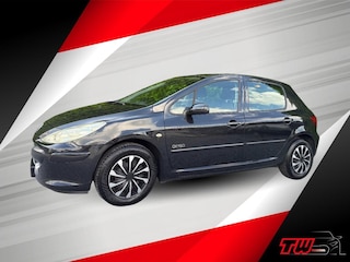 Peugeot 307 1.6 Oxygo|NWE APK & DISTRIBUTIE | AIRCO | CRUISE