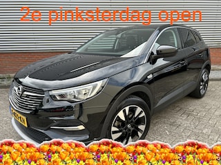 Opel Grandland X 1.6 Turbo Business Executive | Trekhaak | Navigatie | Apple CarPlay / Android Auto |