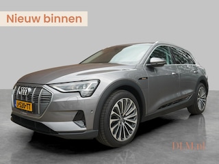 Audi e-Tron 50 quattro Launch edition 71 kWh | Trekhaak