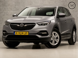 Opel Grandland X 1.2 Turbo Edition (APPLE CARPLAY, GROOT NAVI, LEDER, CRUISE, SPORTSTOELEN, PARKEERSENSOREN, LANE ASSIST, NIEUWE APK, NIEUWSTAAT)
