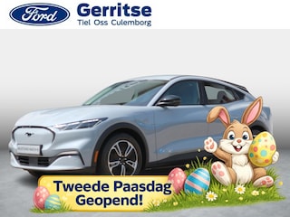 Ford Mustang Mach-E Standard RWD 75 kWh Ford Mustang Mach-E 75kWh Standard RWD