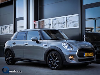 Mini Mini 1.5 Business Edition