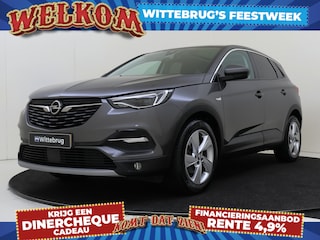 Opel Grandland X 1.2 Turbo Business Executive | Winterpack | Camera | Comfortstoel | Navigatie
