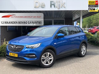 Opel Grandland X 1.2 Turbo Online Edition | Navi, Cruise, DAB, Carplay/Android, Trekhaak | NAP |