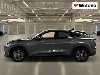 Ford Mustang Mach-E Extended RWD 98 kWh Grote Accu ! Alle Opties !