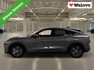 Ford Mustang Mach-E Extended RWD 98 kWh Grote Accu ! Alle Opties !