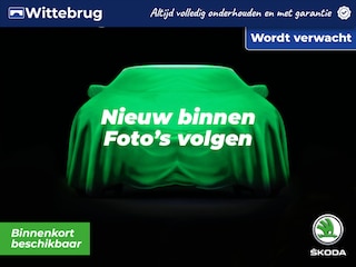 Skoda Fabia 1.0 TSI Ambition / Smart Link / Parkeersensoren / Adaptive Cruise Control