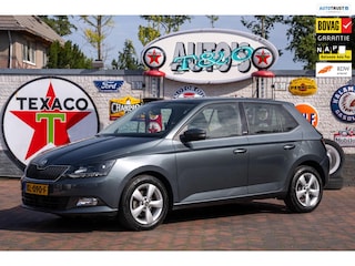 Skoda Fabia 1.2 TSI JOY 30.300 km + NAP NL-auto
