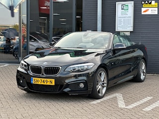 BMW 2-serie Cabrio 220i High Executive/M-PAKKET/1STE EIG/LEDER/NAVI/NL-AUTO NAP!!