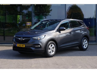 Opel Grandland X 1.2 Turbo 131 PK Business Executive, Panoramadak, Cruise Control, Winterpakket