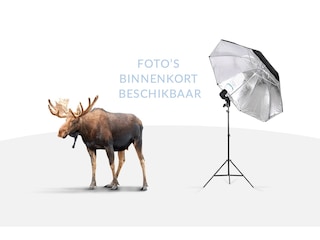Volvo V60 2.0 T5 Polar+ | Open dak | Harman/Kardon | Trekhaak | Camera