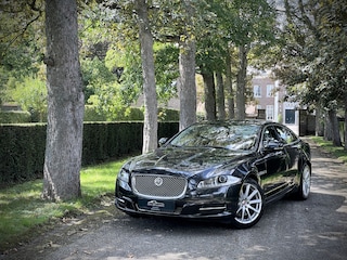 Jaguar XJ 3.0 V6D Premium Luxury / ORG. NL. / MASSAGE / KOELING / PANO