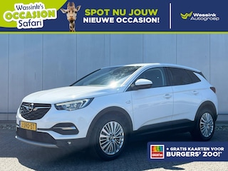 Opel Grandland X 130pk Innovation | Navigatie | Parkeercamera | Bluetooth | Safari Actie