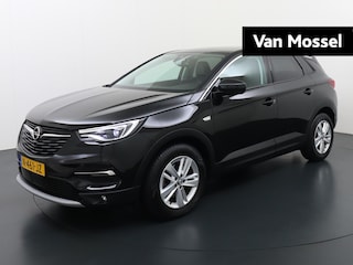 Opel Grandland X 1.2 Turbo Business Elegance | Navigatie | Parkeer camera