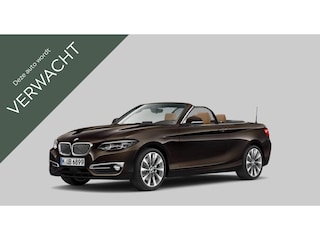 BMW 2-serie Cabrio 220i High Executive | Active Cruise Control | Elektrisch verstelbare stoelen | HiFi System Harman Kardon | Stuurwielverwarming | Parking Pack | Driving Assistant |