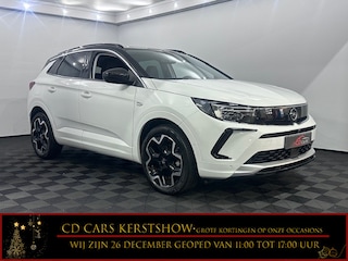 Opel Grandland 1.2 Turbo GS Line Navi, Clima, Winterpakket Camera