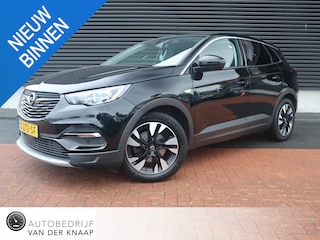 Opel Grandland X 1.2 Turbo Business Executive | Clima | Cruise | Multimedia/Navi | Leder | PDC + Camera |