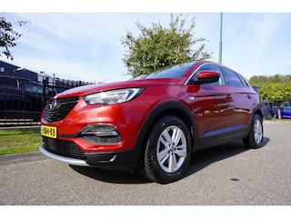 Opel Grandland X 1.2 Turbo 130pk S&S Business Executive Panoramadak Trekhaak Apple Carplay
