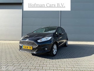 Ford Fiesta 1.0 EcoBoost Titanium X 2013 101PK 5-Deurs