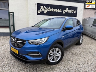 Opel Grandland X 1.2 Turbo Business + Org. NL | Camera | Carplay | Navi | A.S. Banden