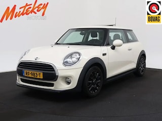 Mini Mini 1.2 Salt Business