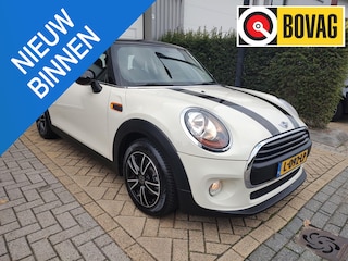 Mini Mini 1.5 Salt Bi-Tone 6-Bak