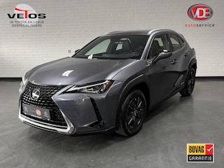 Lexus UX 250h Business Line / PDC v+a / Stuur- en stoelverwarming