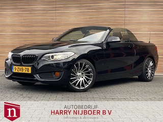 BMW 2-serie Cabrio 220i Leer / Automaat / Lage km stand