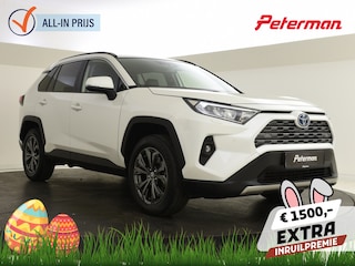 Toyota RAV4 2.5 Hybrid Style Edition | Stuur en Stoelverming | PDC V+A