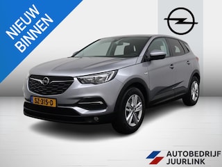 Opel Grandland X 1.2 Turbo Trekhaa0k/Nav/Dab/Ecc/