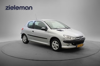 Peugeot 206 1.4 XS