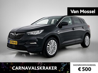 Opel Grandland X 1.2 Turbo Business Executive | Camera | Trekhaak | Apple Carplay/Android Auto |