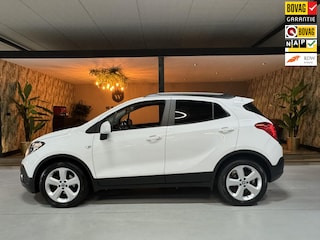 Opel Mokka 1.4 T Edition NAP Cruise Navi Parkeersensoren Fietsendrager Rijklaar