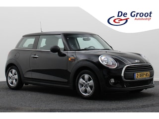 Mini Mini 1.2 Salt Business