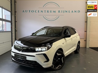 Opel Grandland 1.6 Turbo Plug-In Hybrid 4x4 GSe 1 Jaar Bovag Garantie
