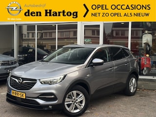 Opel Grandland X 1.2 Turbo Online Edition AGR Stoelen Apple Carplay/Android Auto/Winterpakket