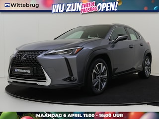 Lexus UX 250h Business Line | Camera | Navigatie | Clima | Keyless Entry | Rijklaar prijs!