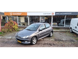 Peugeot 206 1.4 Génération LMV electr ramen mistlampen