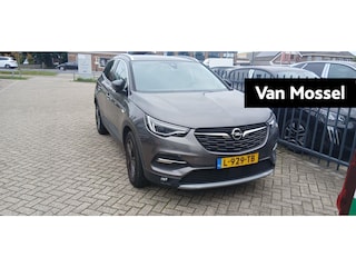 Opel Grandland X 1.2 Turbo Business Executive | Parkeer camera